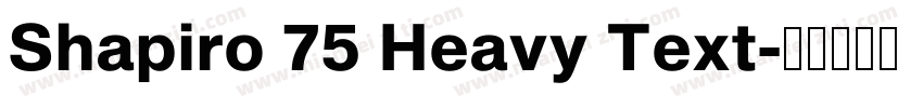 Shapiro 75 Heavy Text字体转换